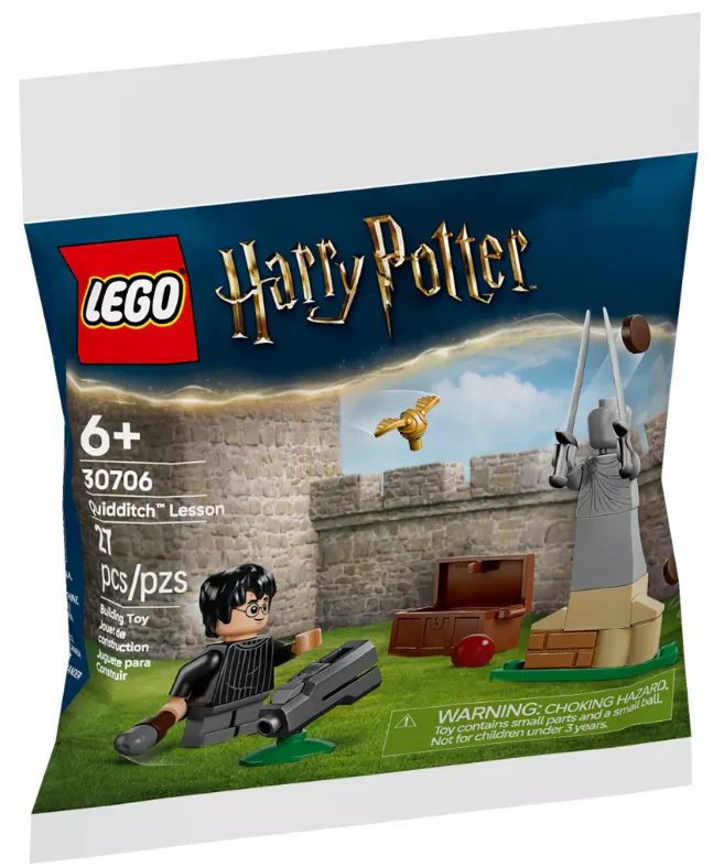 Harry Potter Quidditch Lesson - Image 2