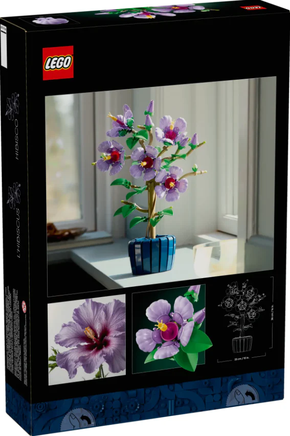 Hibiscus - Image 12