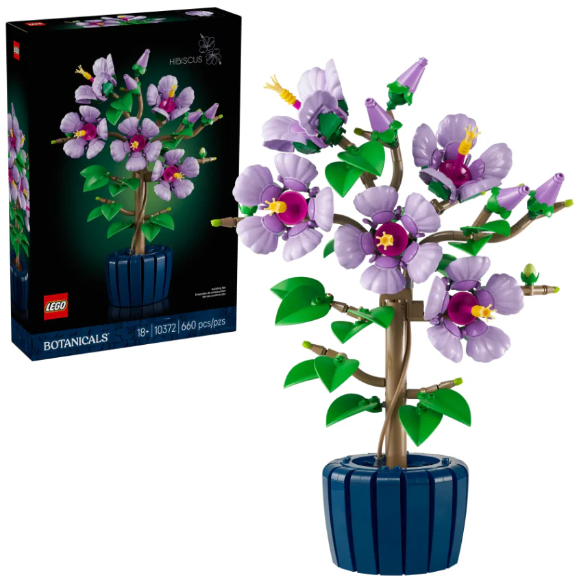 Hibiscus - Image 2