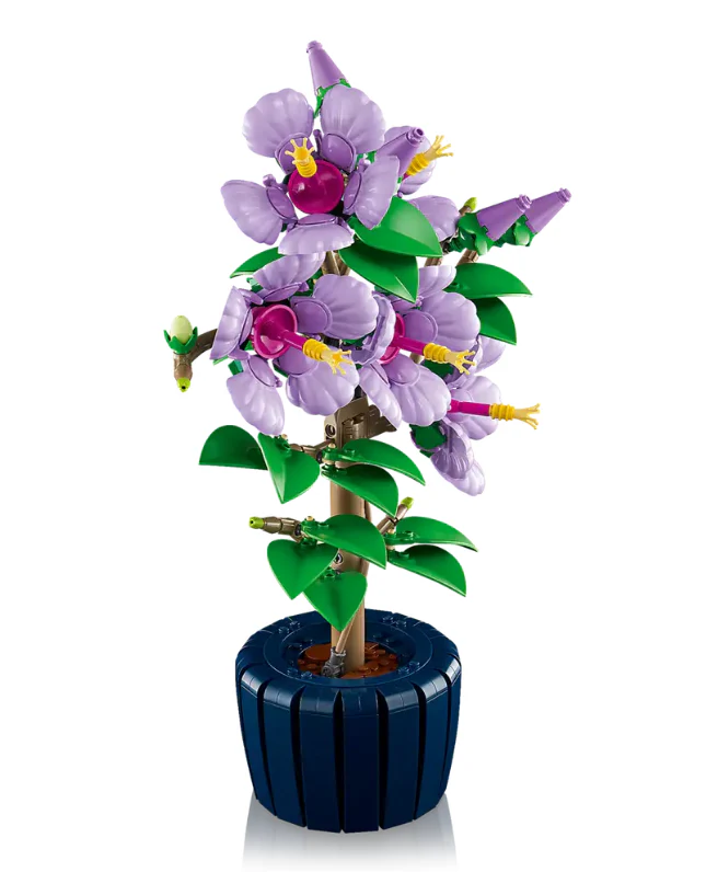 Hibiscus - Image 3
