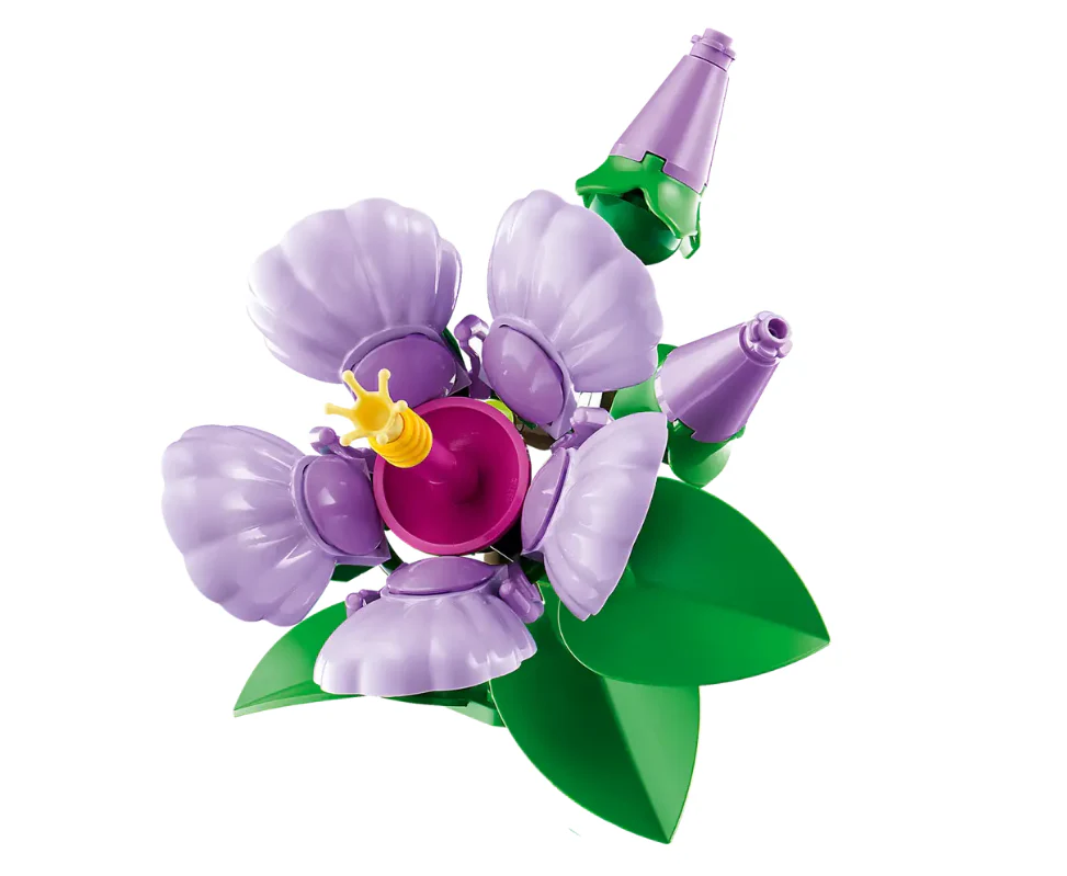 Hibiscus - Image 5