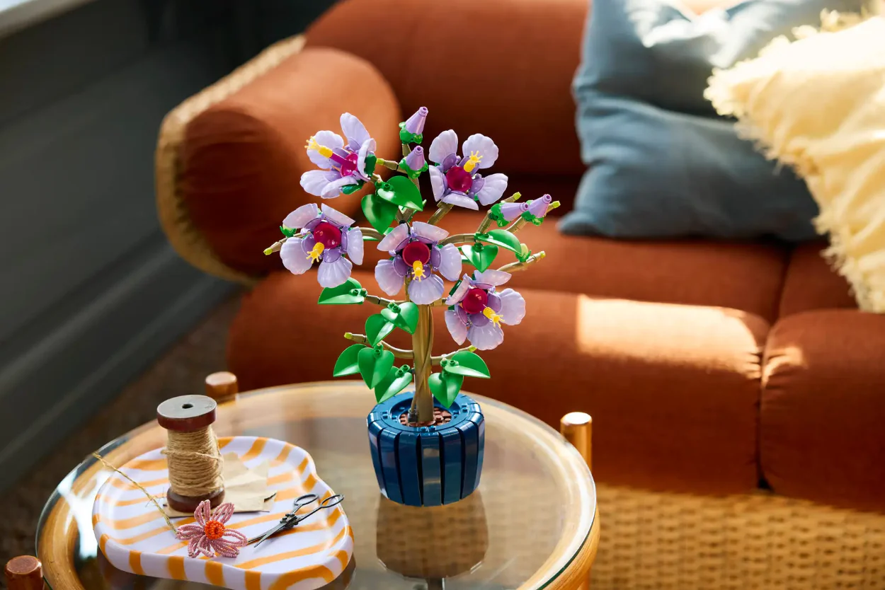 Hibiscus - Image 7