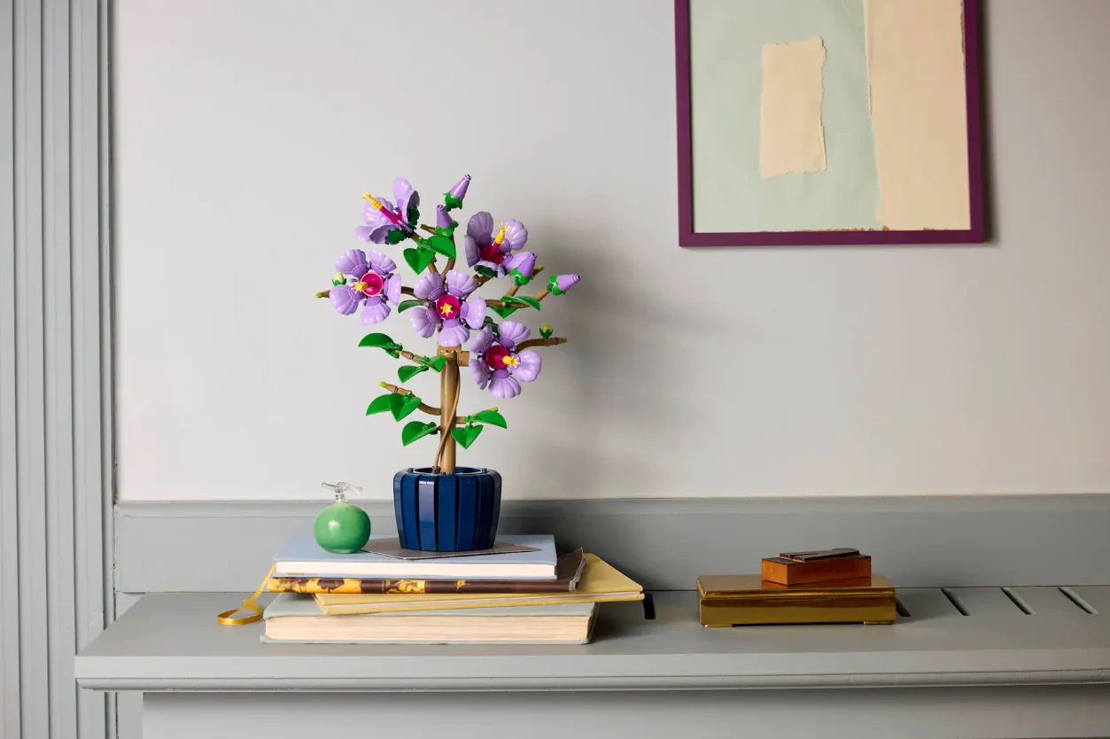 Hibiscus - Image 8