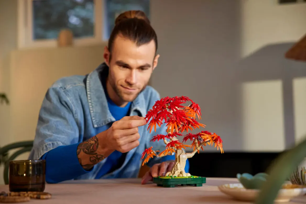 Japanese Red Maple Bonsai Tree - Image 8