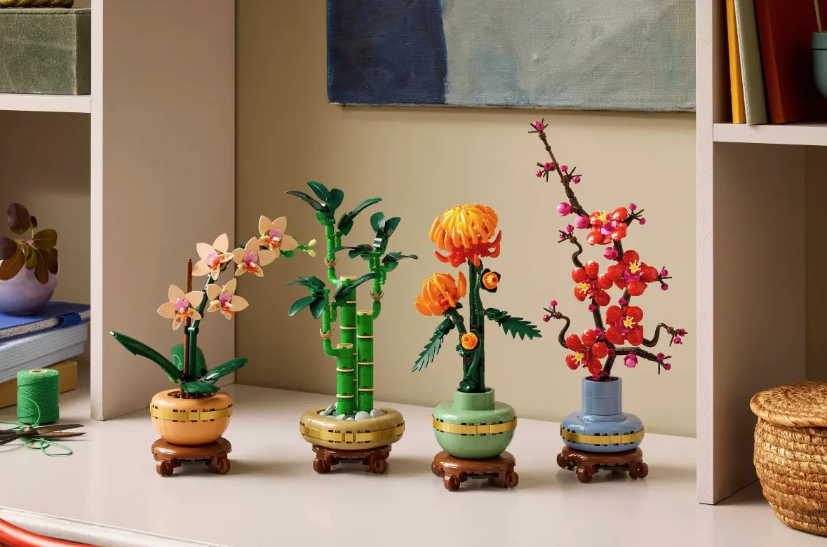 Lucky Bamboo - Image 8