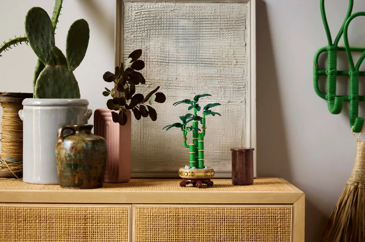 Lucky Bamboo - Image 9