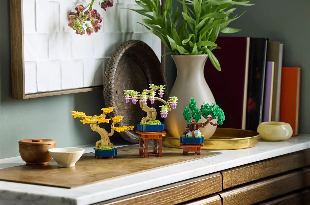 Mini Bonsai Trees - Image 10