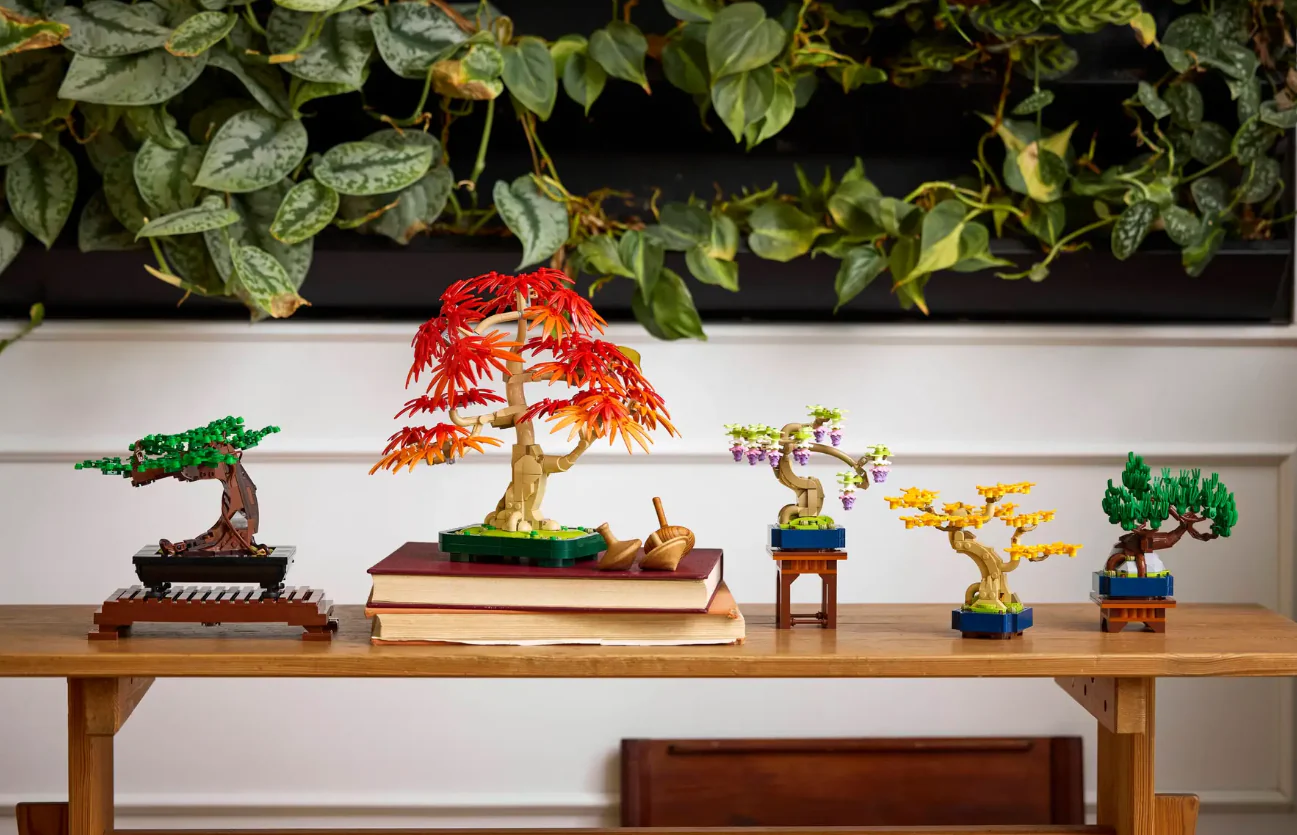 Mini Bonsai Trees - Image 11