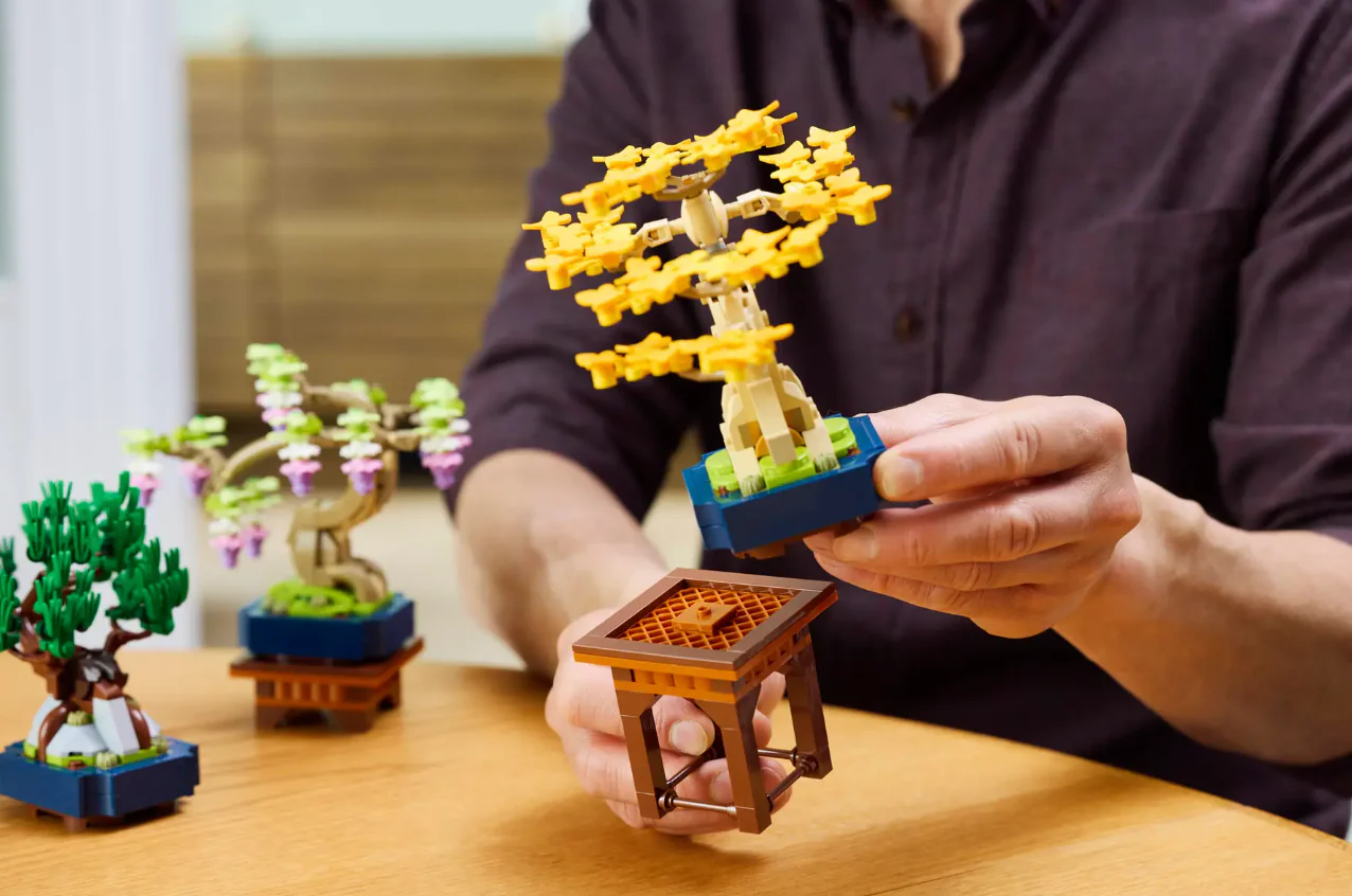 Mini Bonsai Trees - Image 12