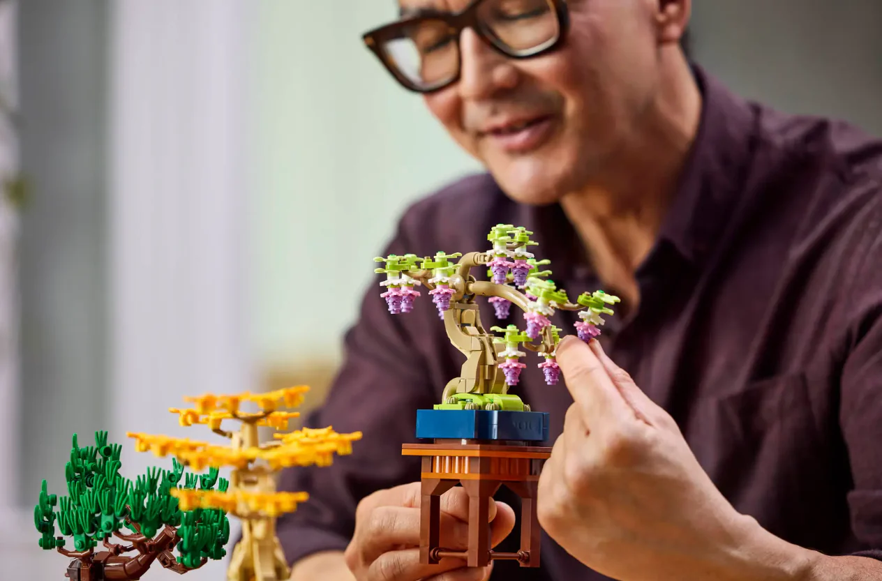 Mini Bonsai Trees - Image 14