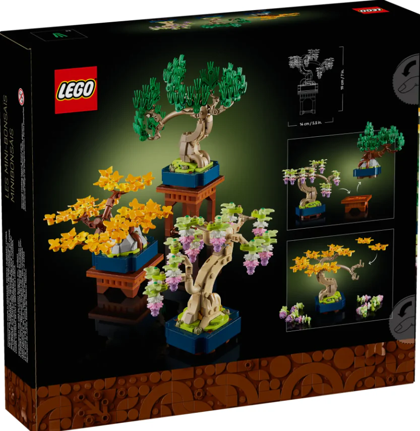 Mini Bonsai Trees - Image 15