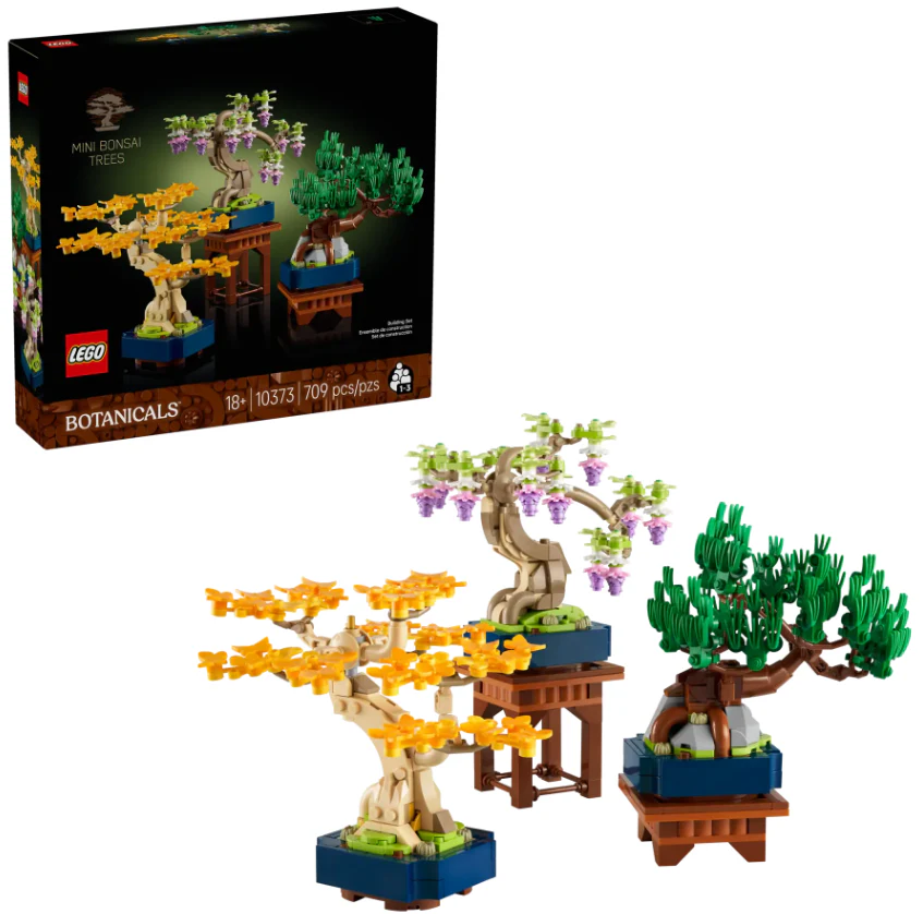 Mini Bonsai Trees - Image 2