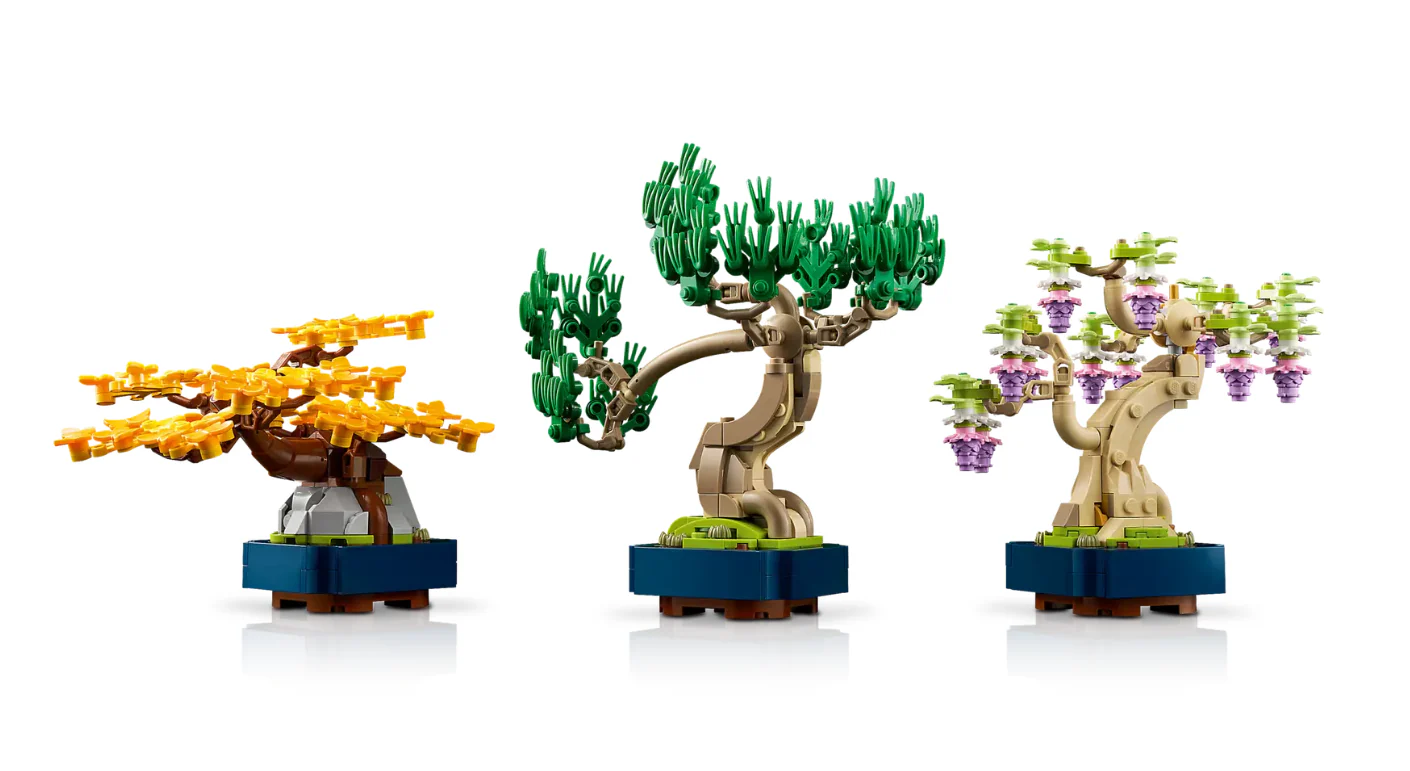 Mini Bonsai Trees - Image 3