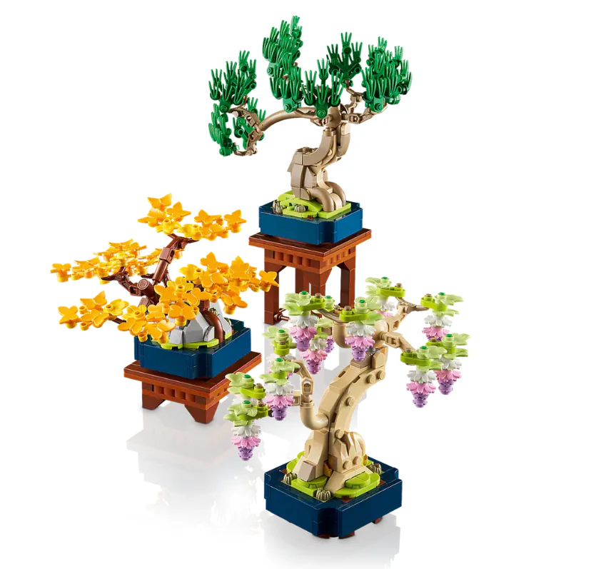 Mini Bonsai Trees - Image 5
