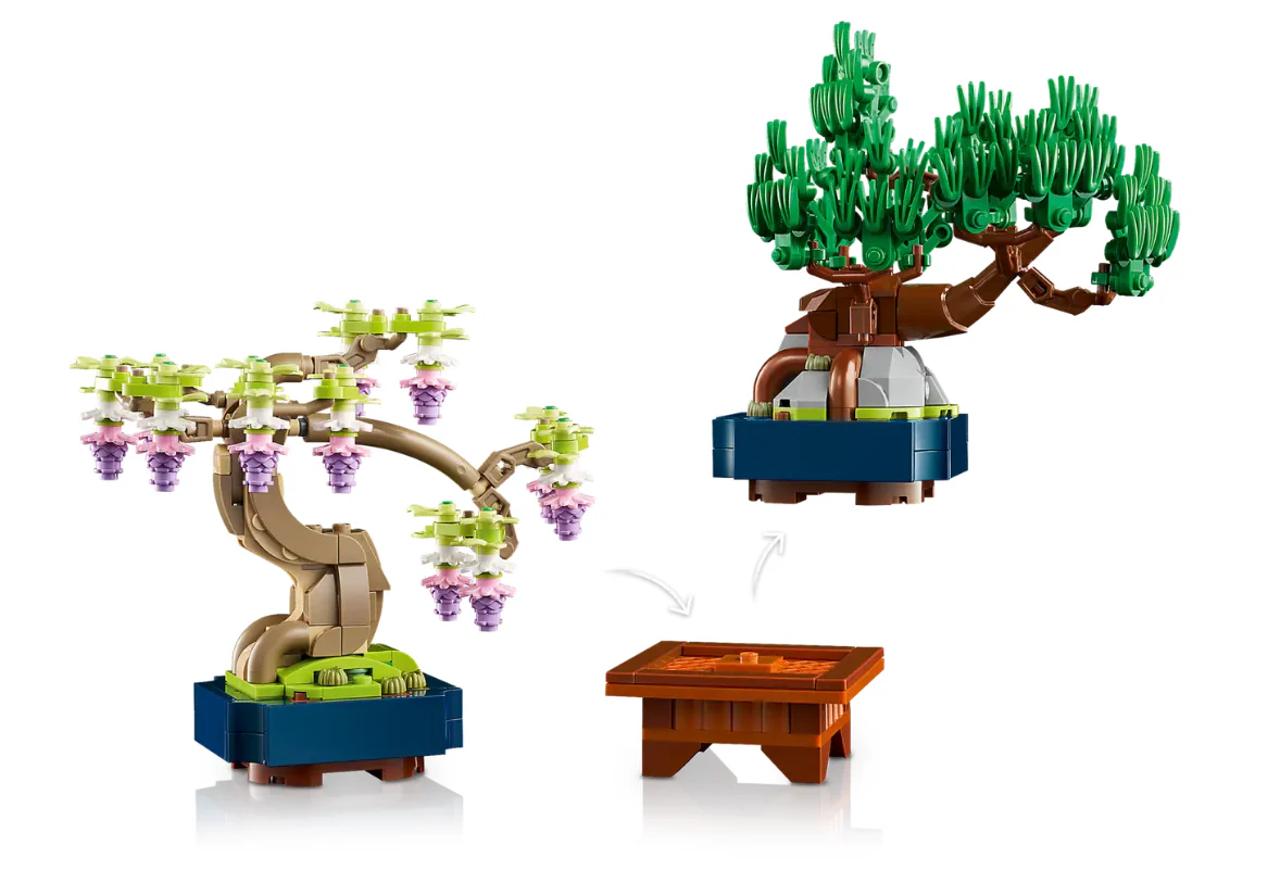 Mini Bonsai Trees - Image 6