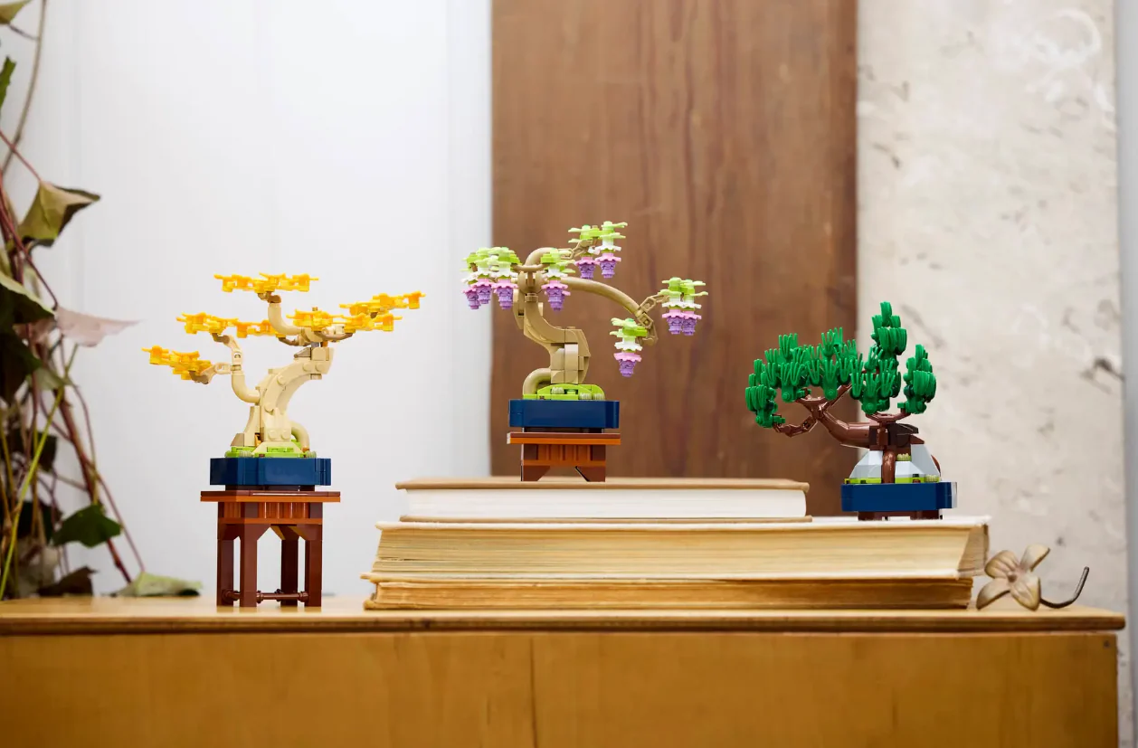 Mini Bonsai Trees - Image 7