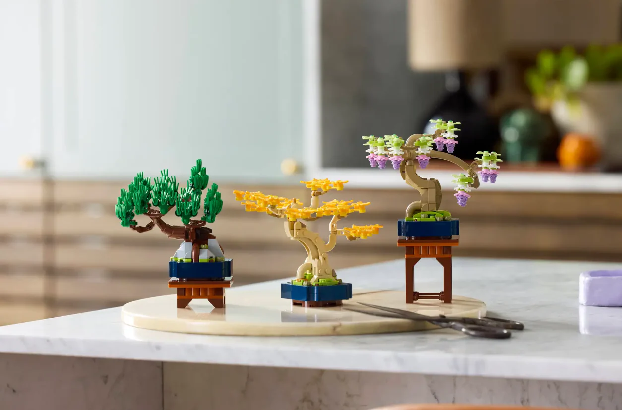 Mini Bonsai Trees - Image 8