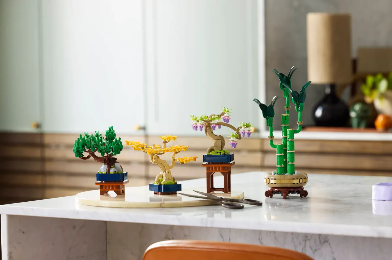 Mini Bonsai Trees - Image 9