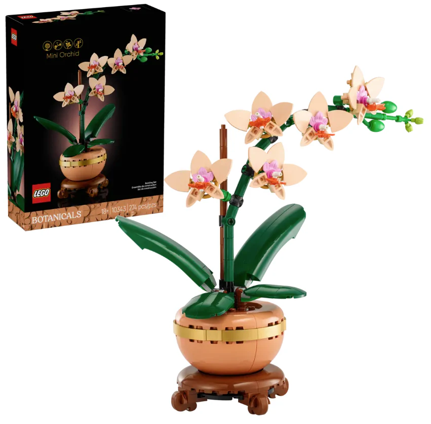 Mini Orchid - Image 2