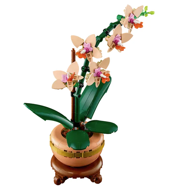 Mini Orchid - Image 3