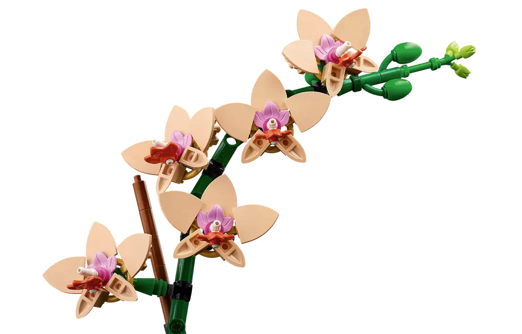Mini Orchid - Image 4