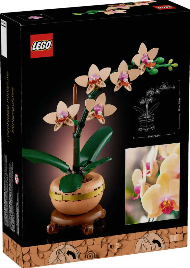 Mini Orchid - Image 5