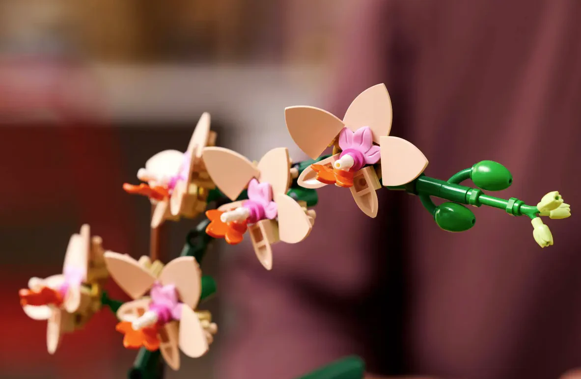 Mini Orchid - Image 6