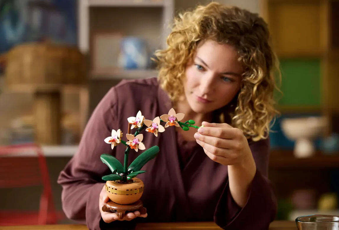 Mini Orchid - Image 7