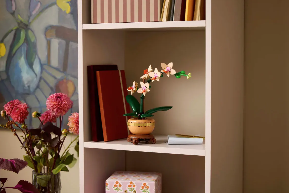 Mini Orchid - Image 8
