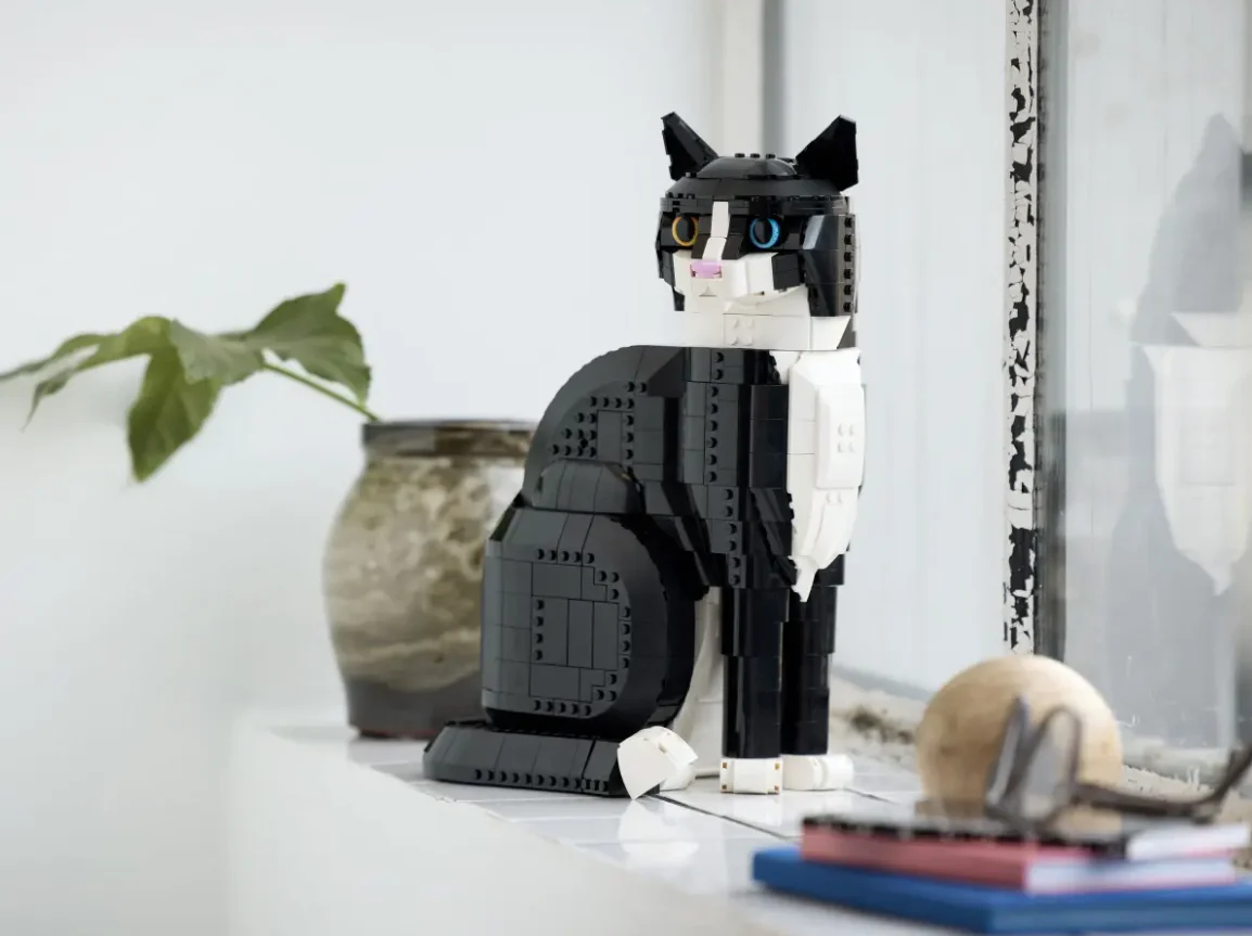 Tuxedo Cat - Image 10