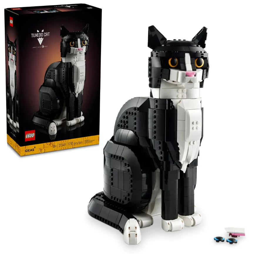 Tuxedo Cat - Image 2