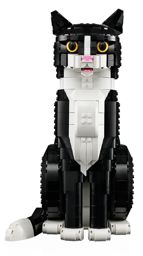Tuxedo Cat - Image 3