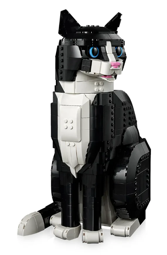Tuxedo Cat - Image 4