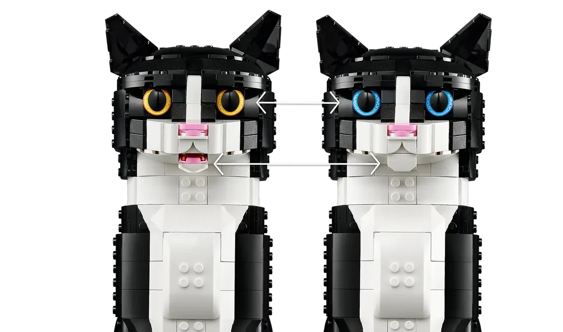 Tuxedo Cat - Image 5