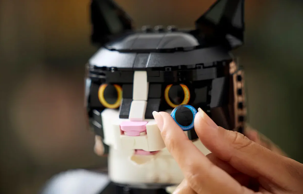 Tuxedo Cat - Image 8