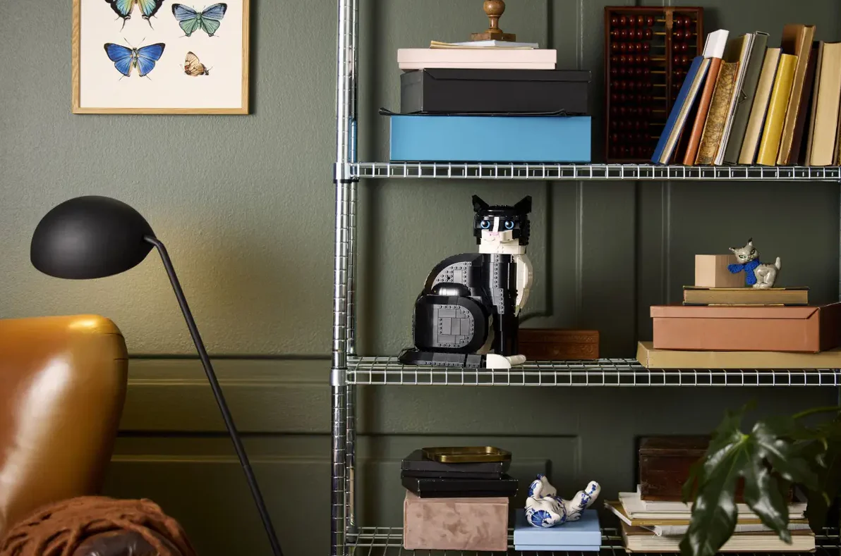 Tuxedo Cat - Image 9